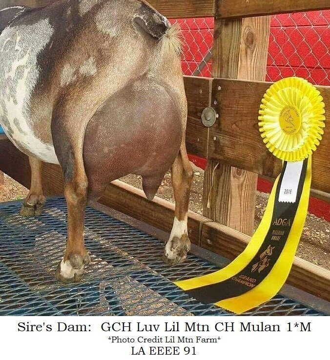 sire dam