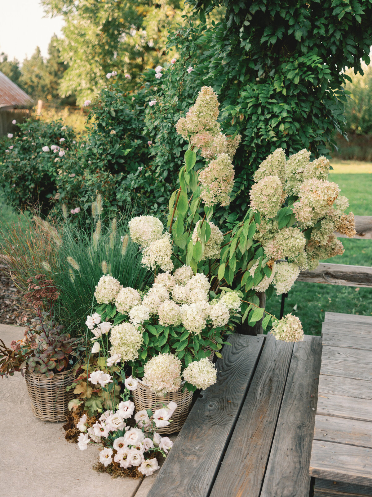 tin-roof-barn-wedding-best-washington-photographers-the-tenneys-18