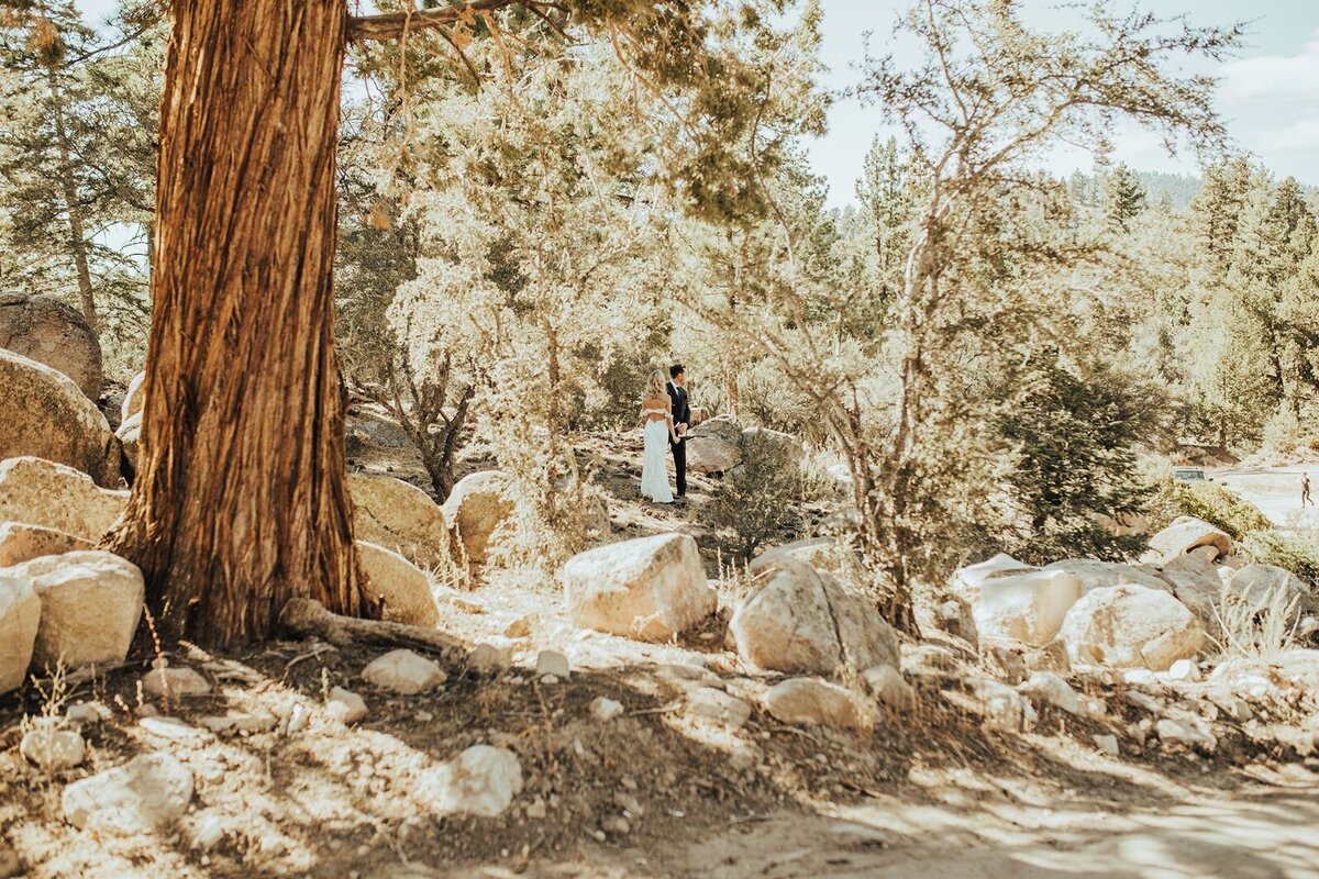 dominguezwedding-133