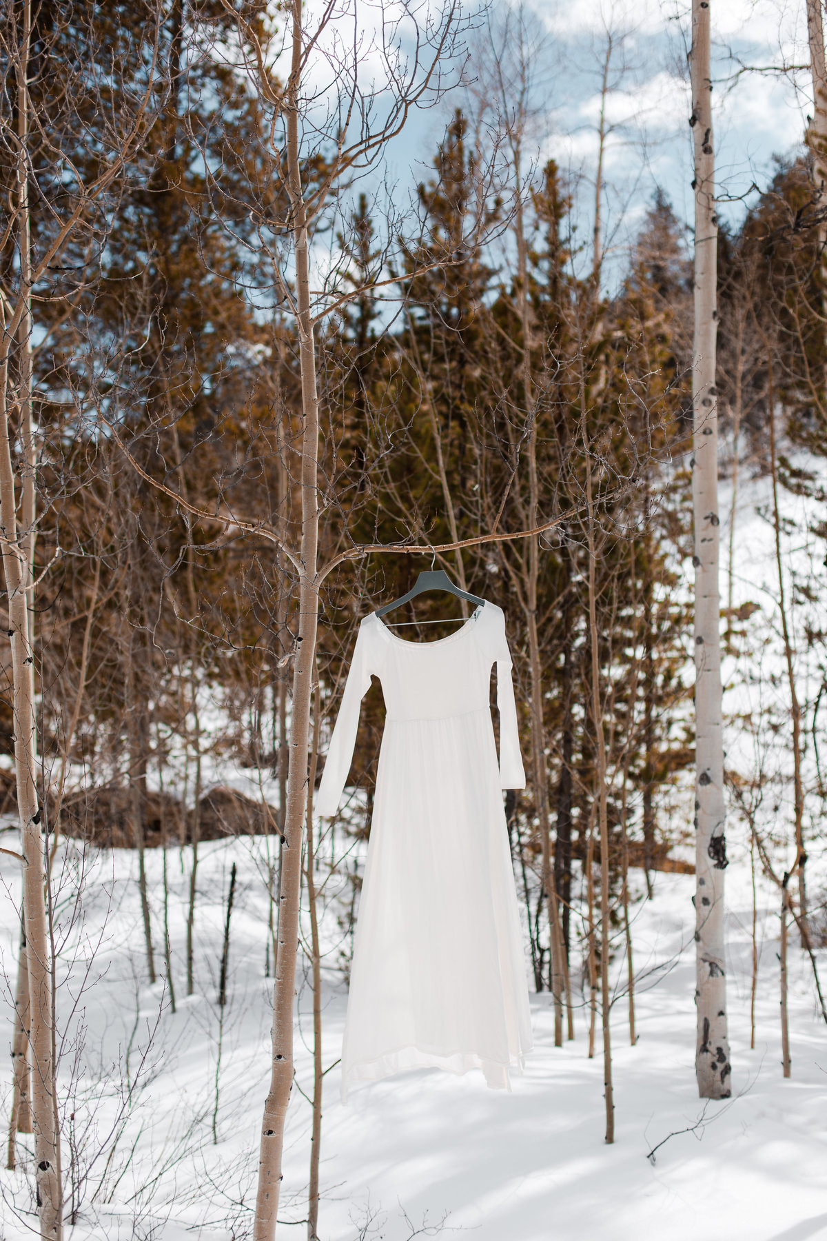 Jared & Elizabeth Blog (0011