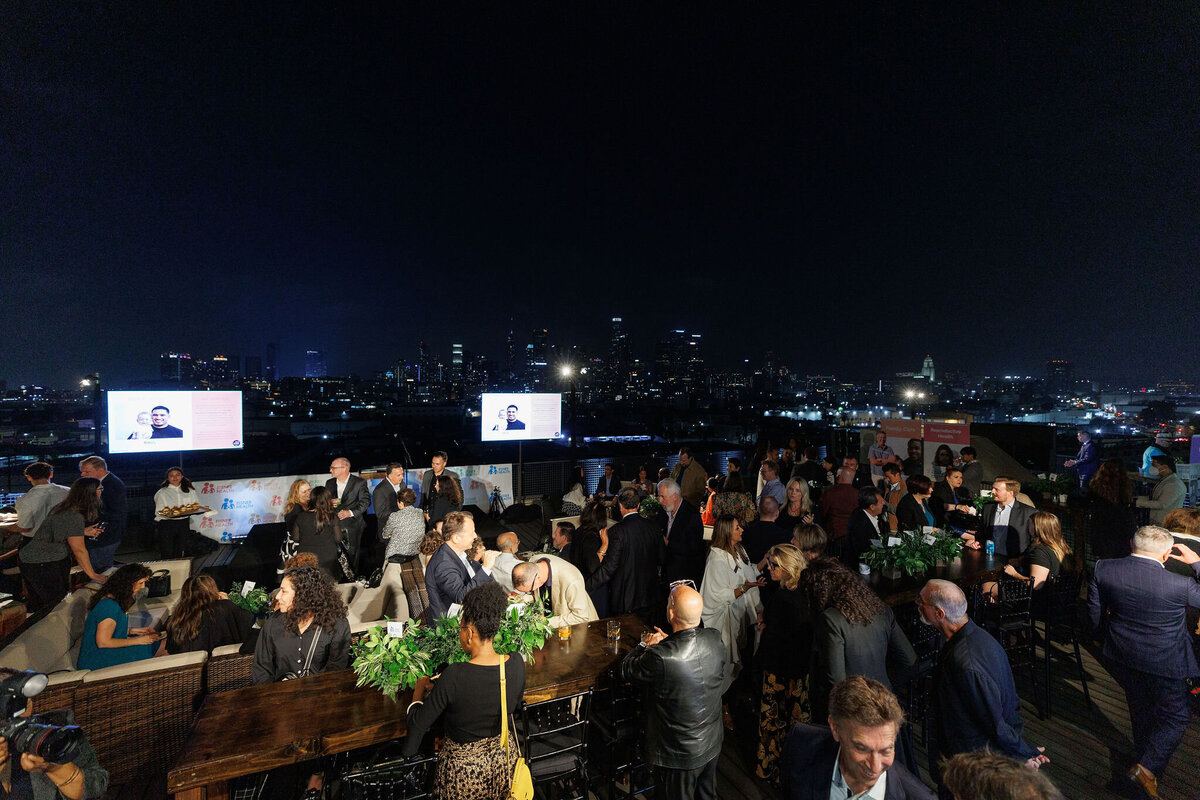 EisnnerSkylightDTLA-311