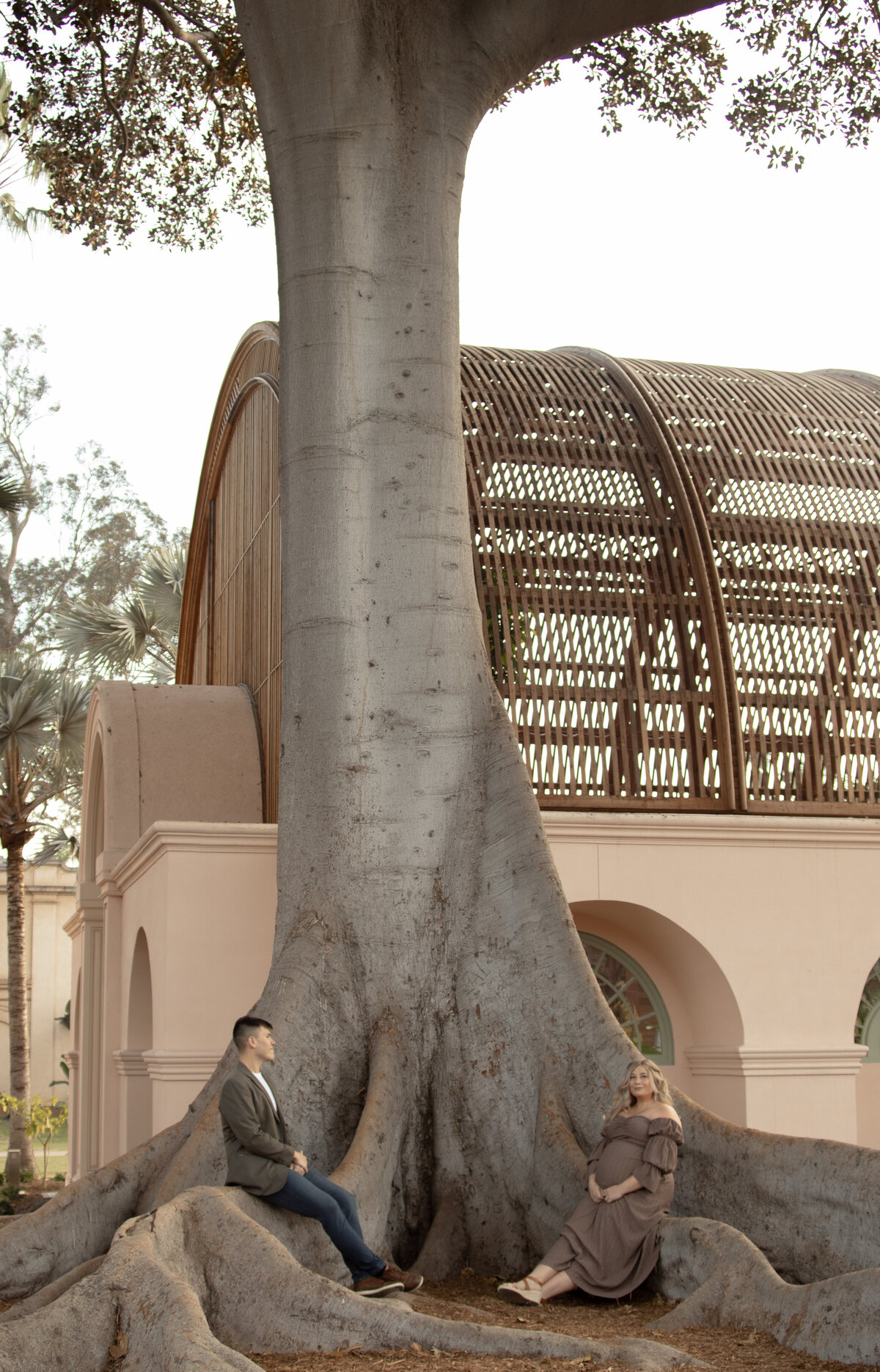 expecting dad admiringly looking at his pregnant wife in a deep rooted tree in balboa park