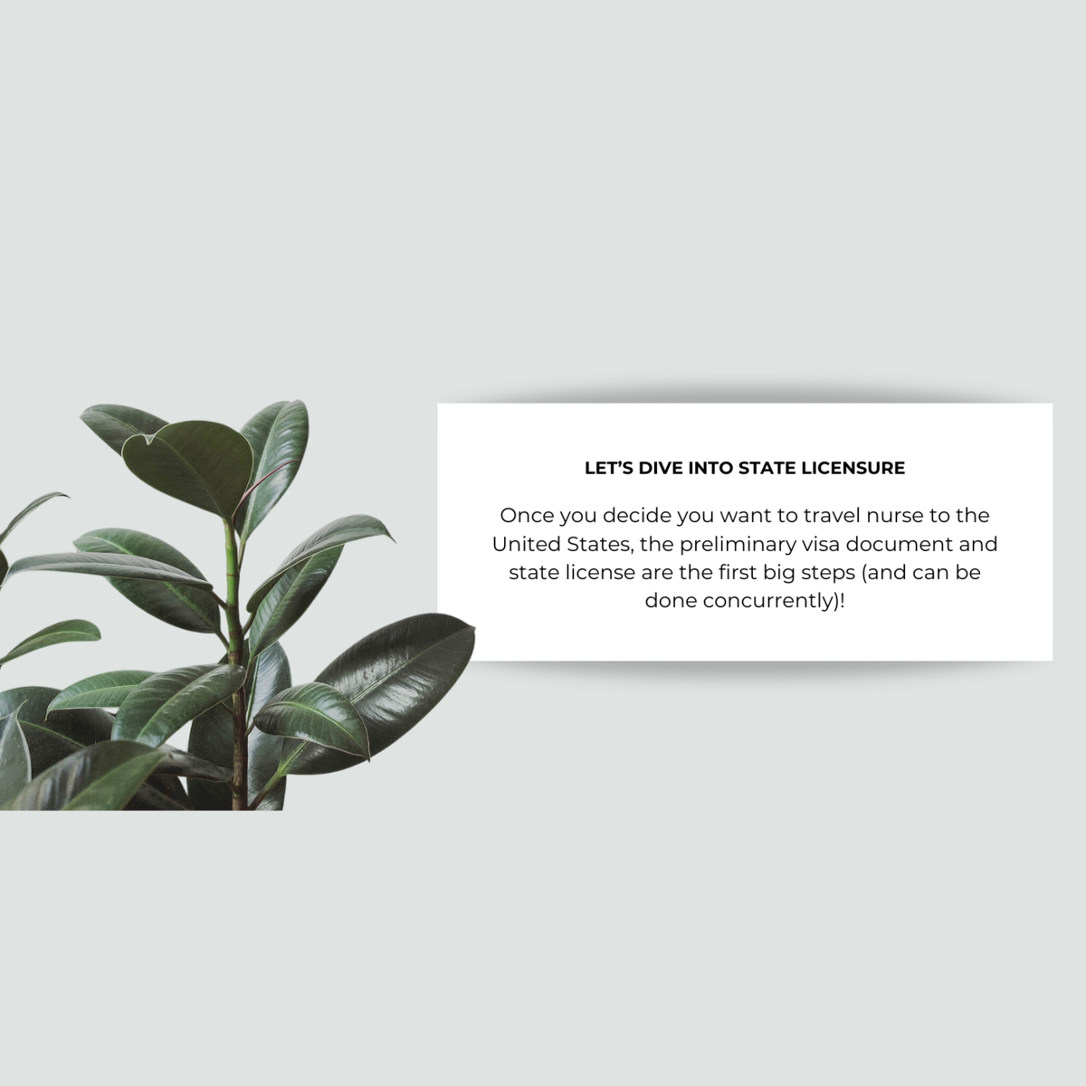 WEBSITE State Licensure (Instagram Post)