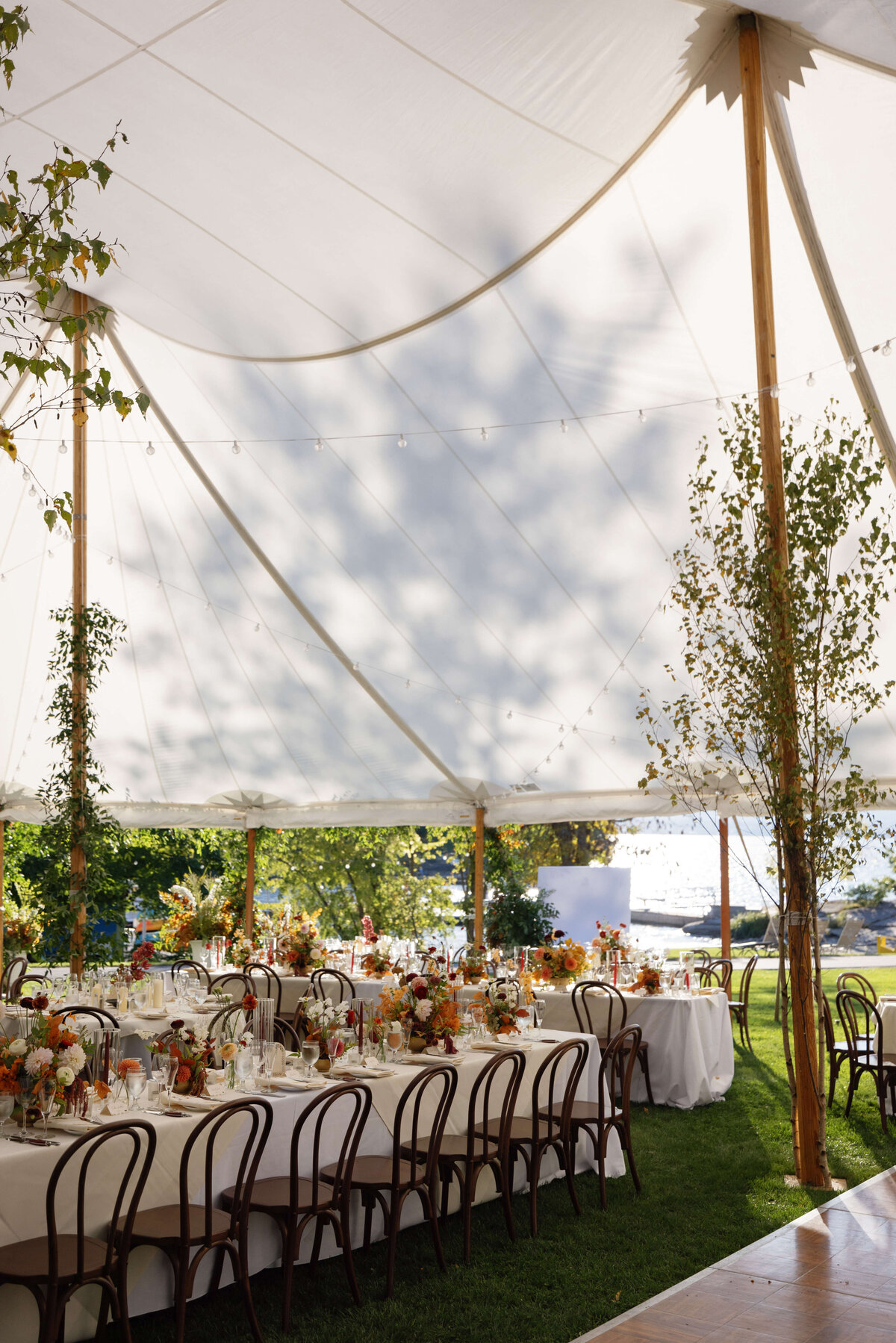 TriciaBaileyPhotography-1050