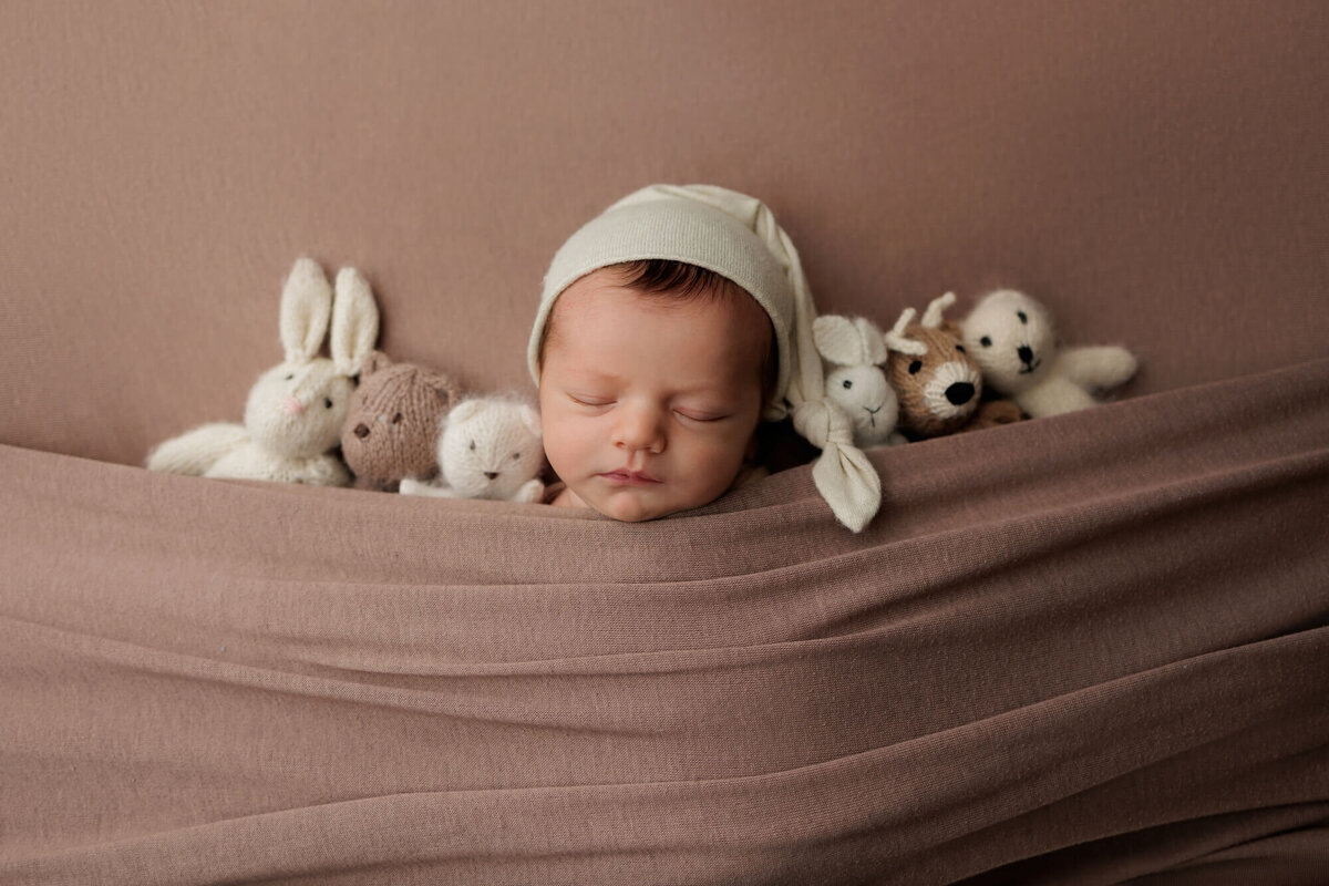 Los angeles newborn photographer, Best Los Angeles newborn photography, newborn photography near me, family photographer Los Angeles, luxury newborn photographer, newborn photographer near me