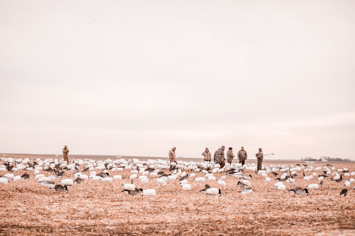 Central kansas duck hunting fowl plains -218
