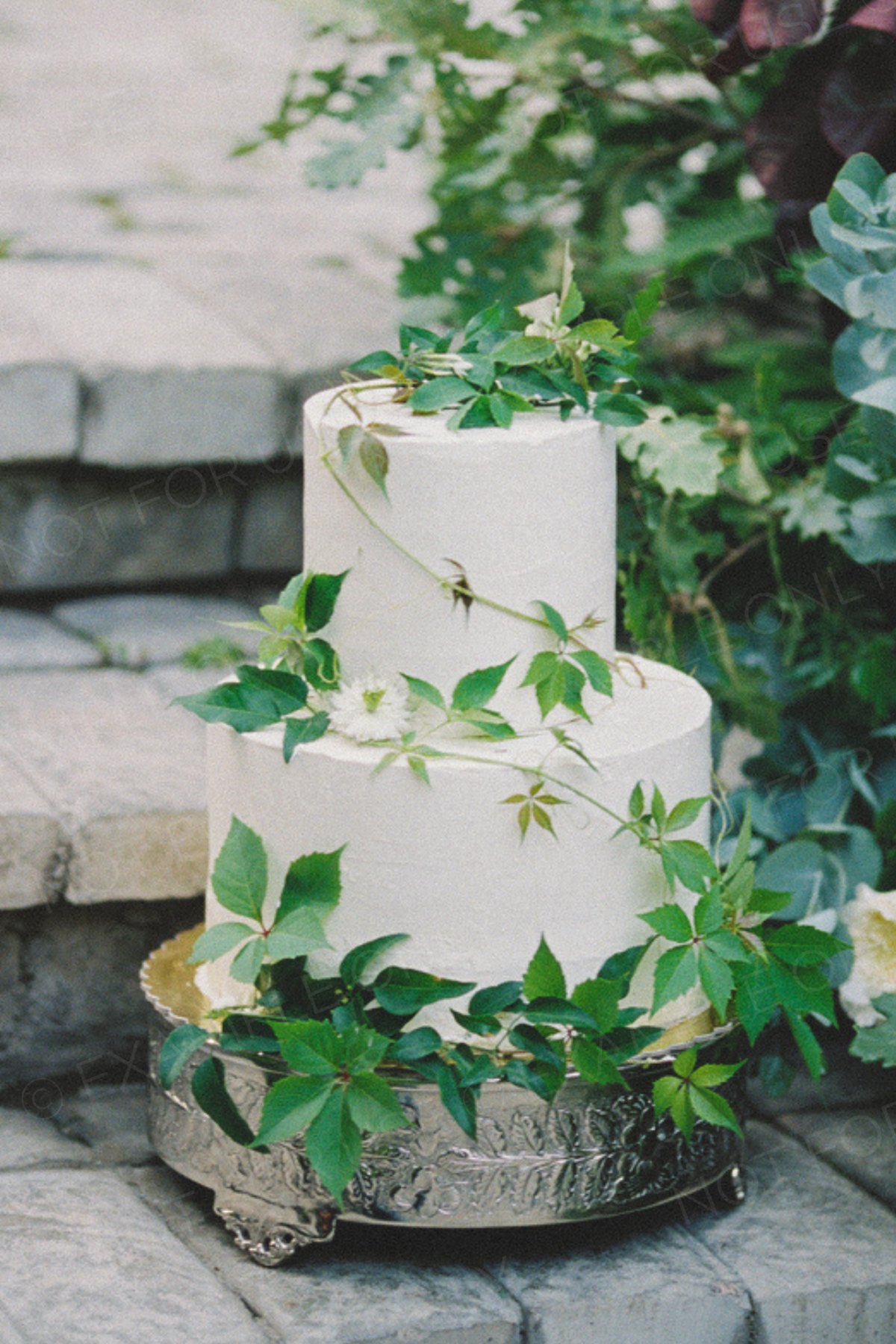 DO-NOT-USE-The-Photo-Editor-s-Guide-Katie-Rivera-EXAMPLE-PHOTO-1