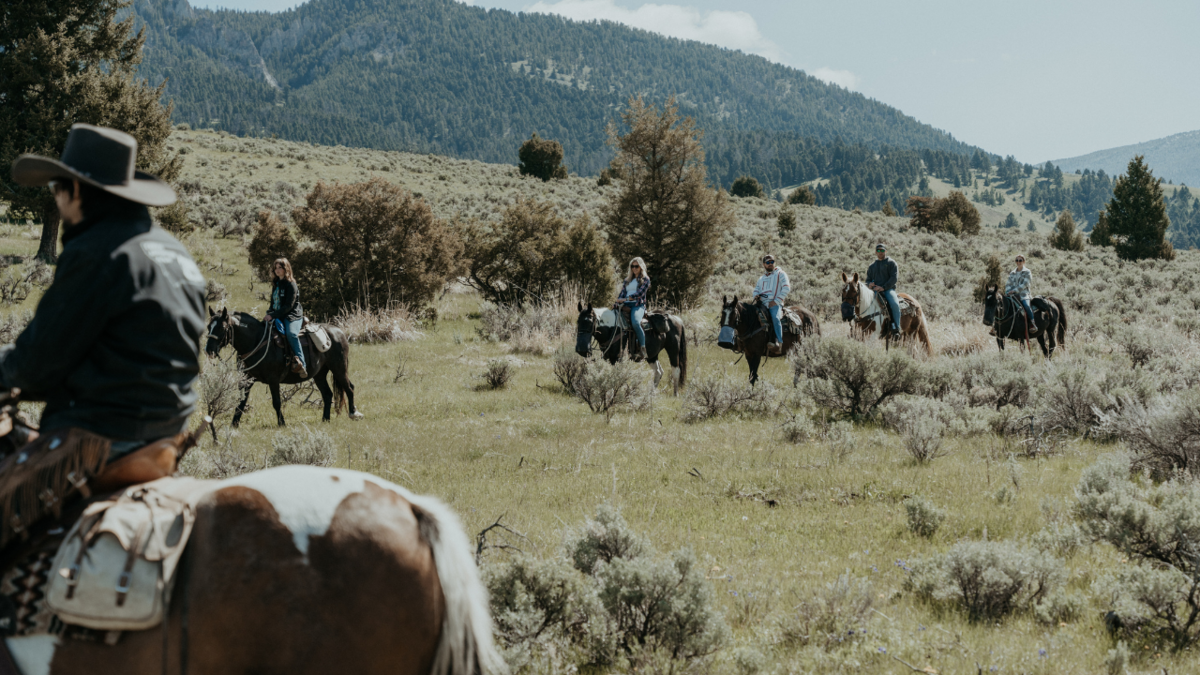 Montana photographer