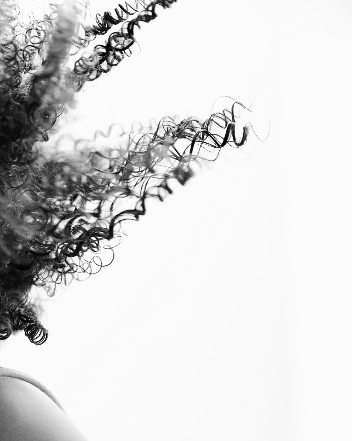 0G6A0551 haircrop