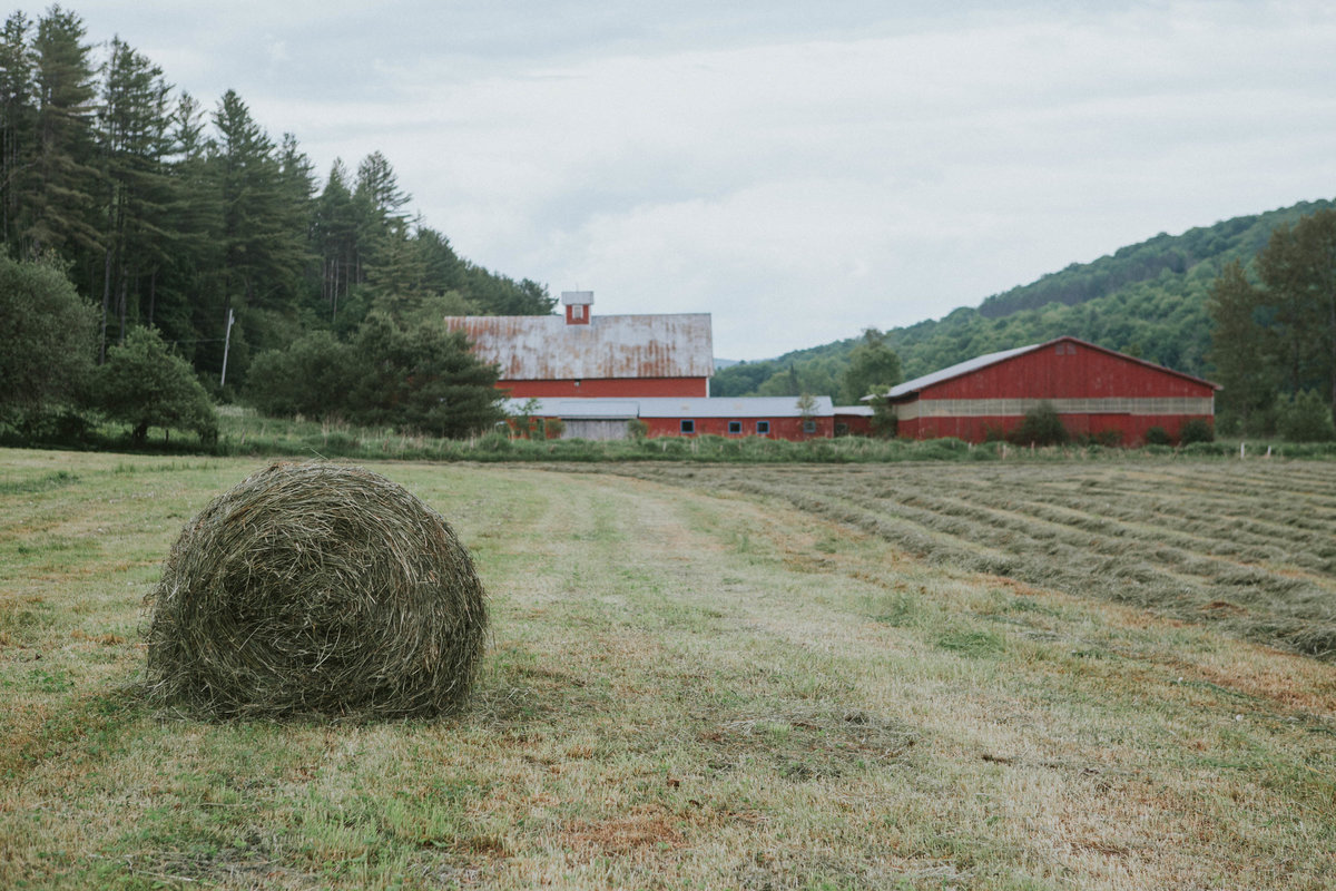 Vermont Commercial Photographer Amy Donohue Photography-9601