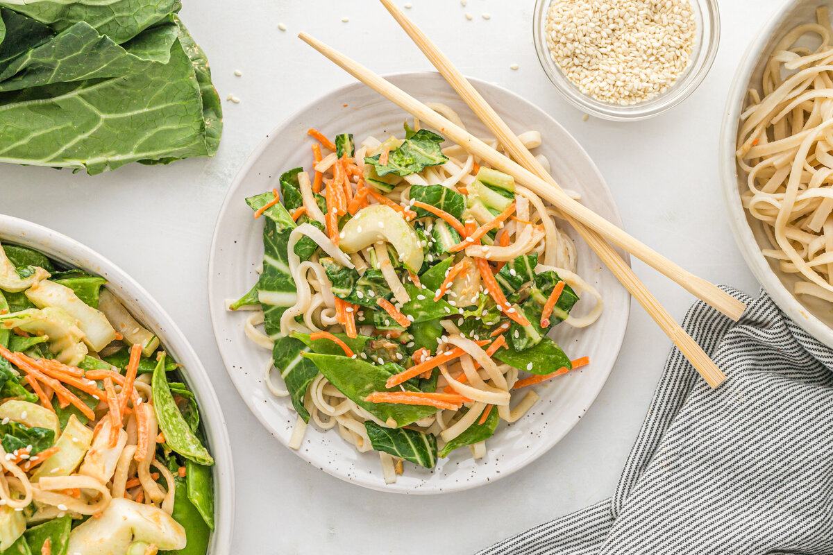 Udon Noodles and Asian Vegetables-11 copy