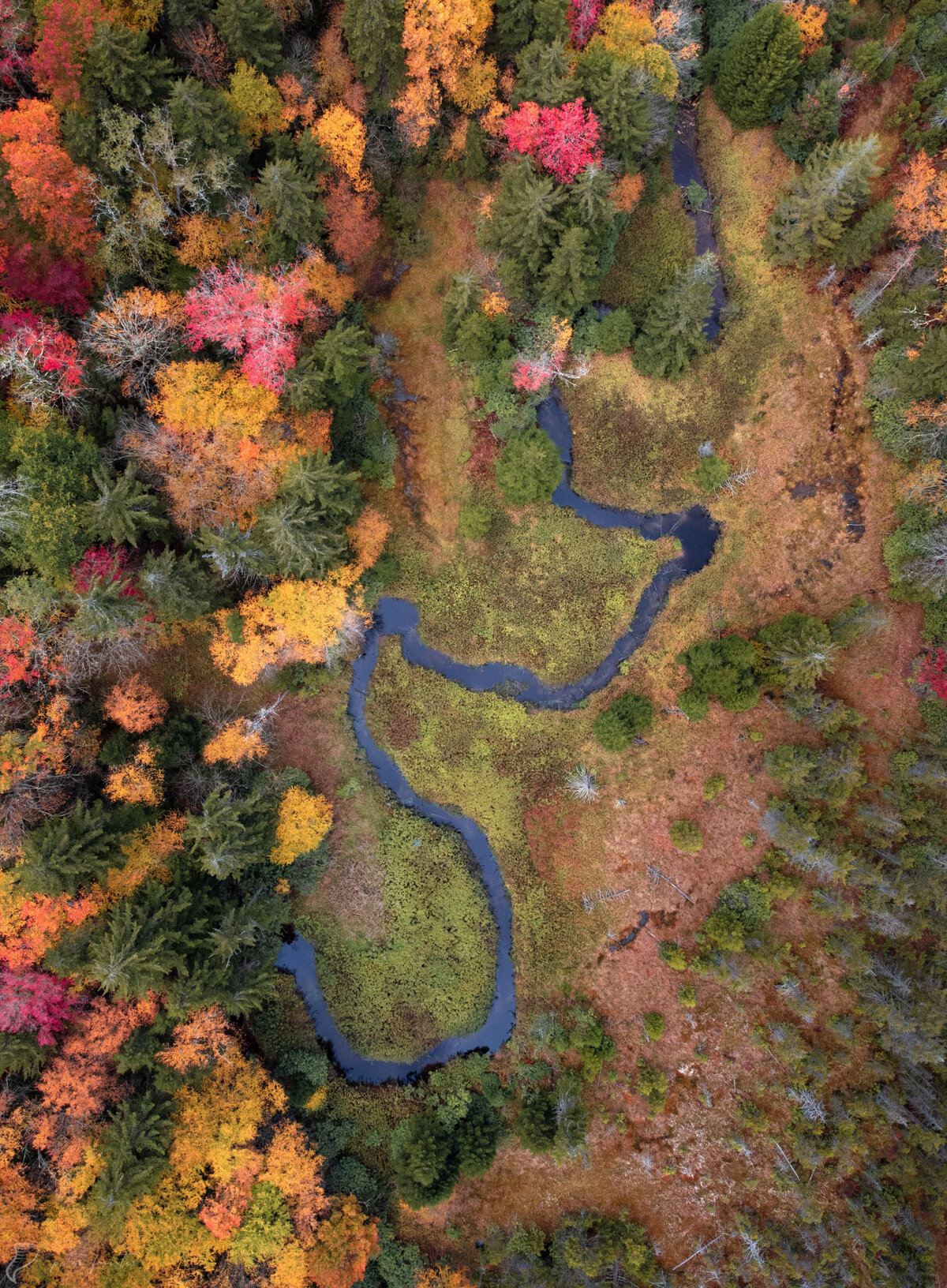 20231007-DJI_0207