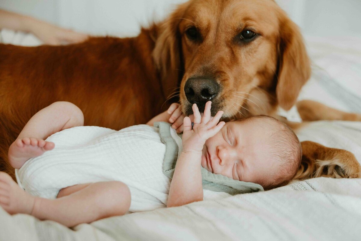 NolanNelsomNewborn-140