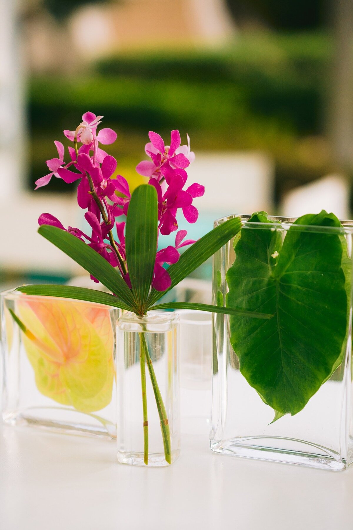Rosewood-Bermuda-Wedding-Dasfete-19