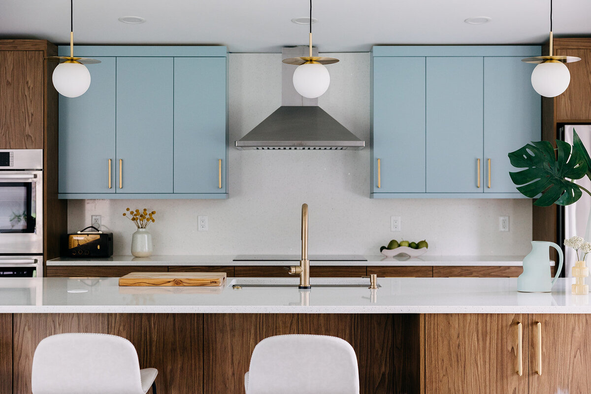shelby-dubin-interiors32