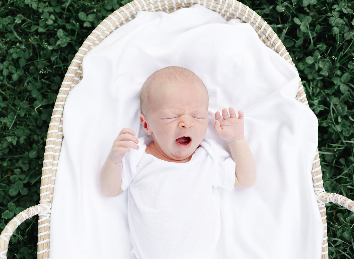 Baby Bentley_415_websize