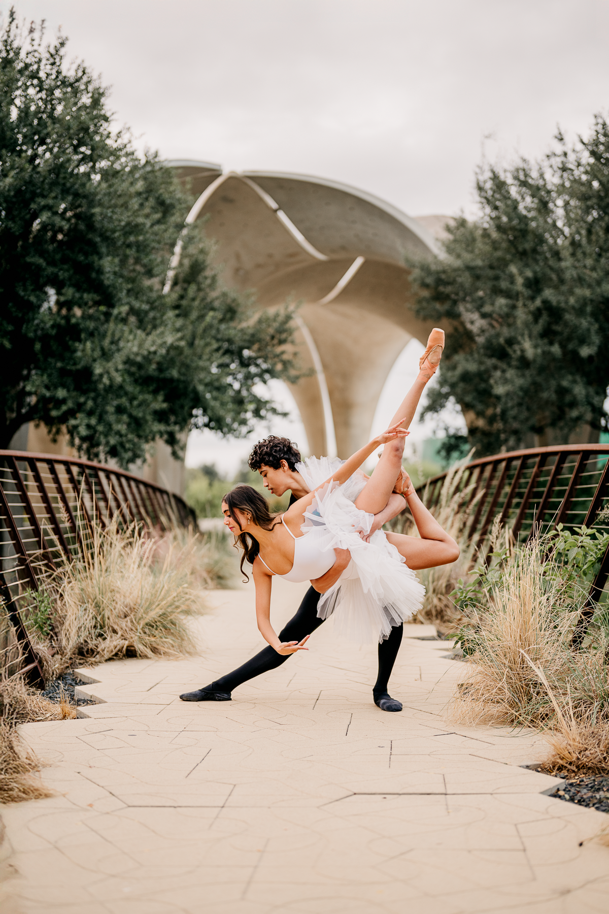 2025Model77DCSAHalloween-NoPumpkin-0002