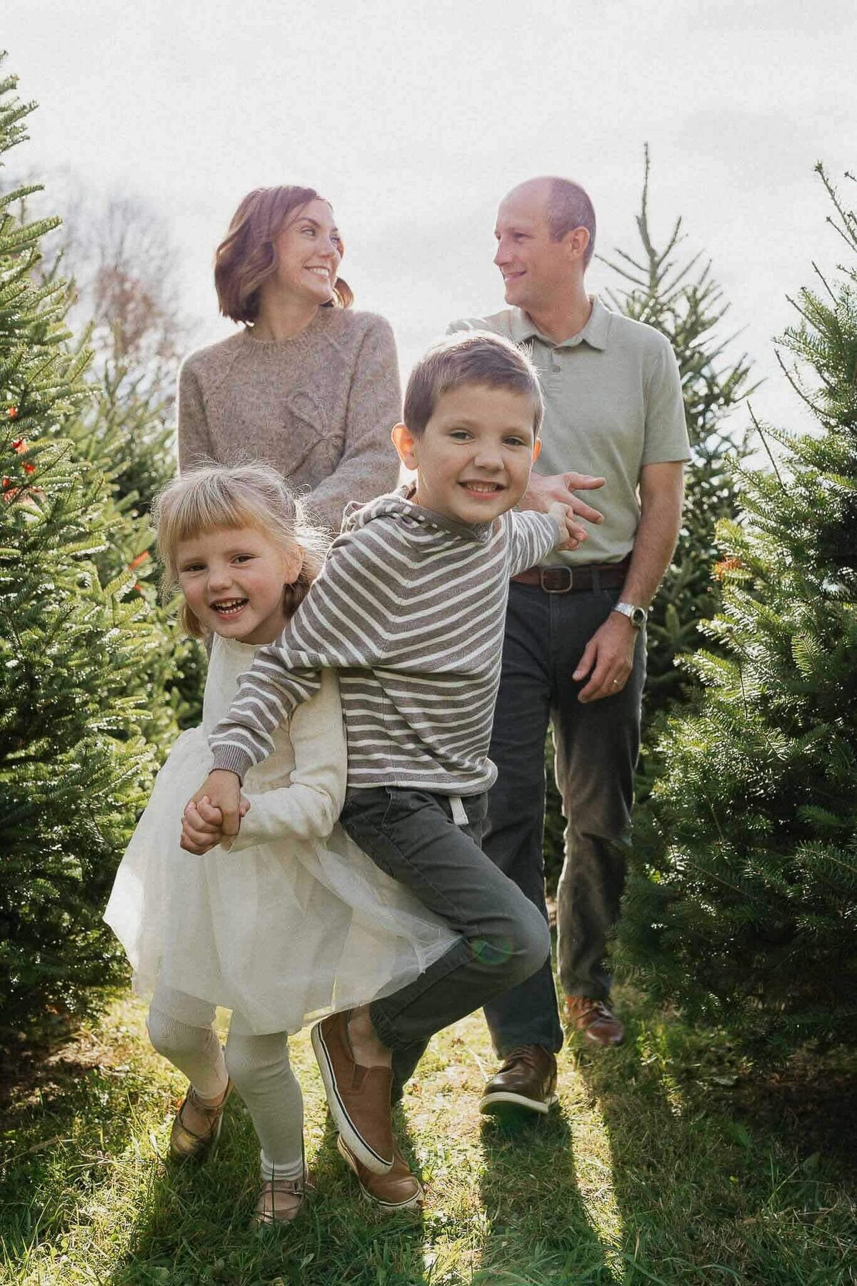 Candid photo of family running through row of Christmas trees at Sugar Pines Farm in Chesterland.