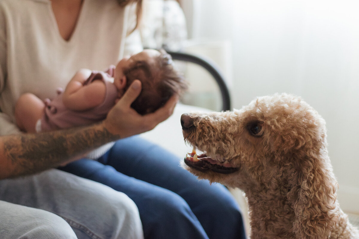 BellevueWA-newborn-photography-33