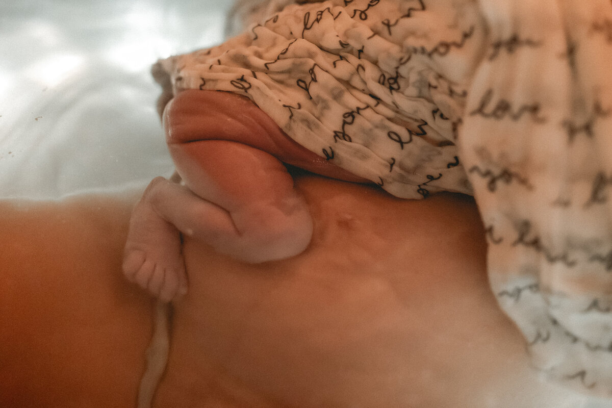 Welcoming Onyx-F21_1091