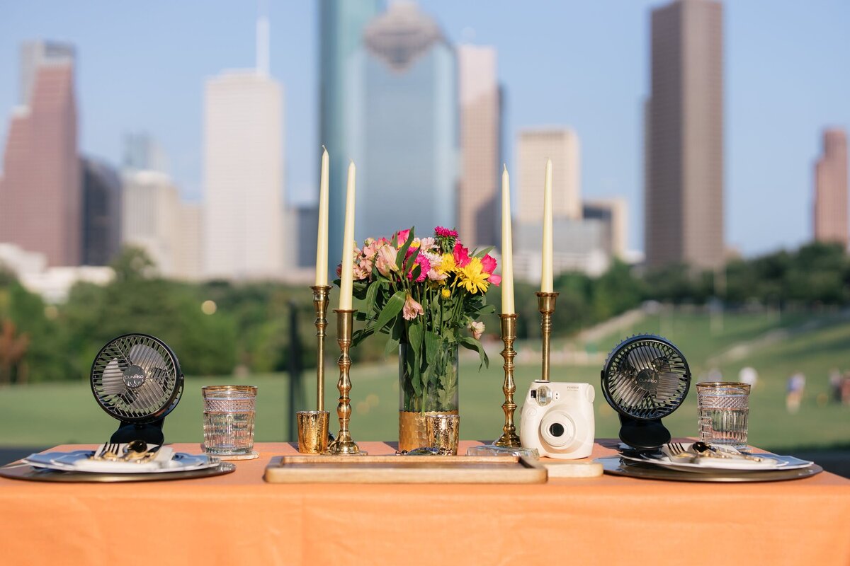 Picnic setup with Houston skyline