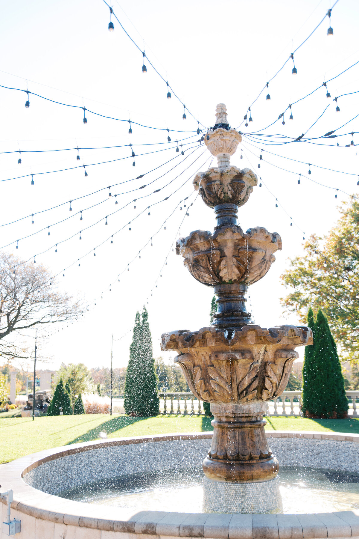 GabbyRossWedding-647