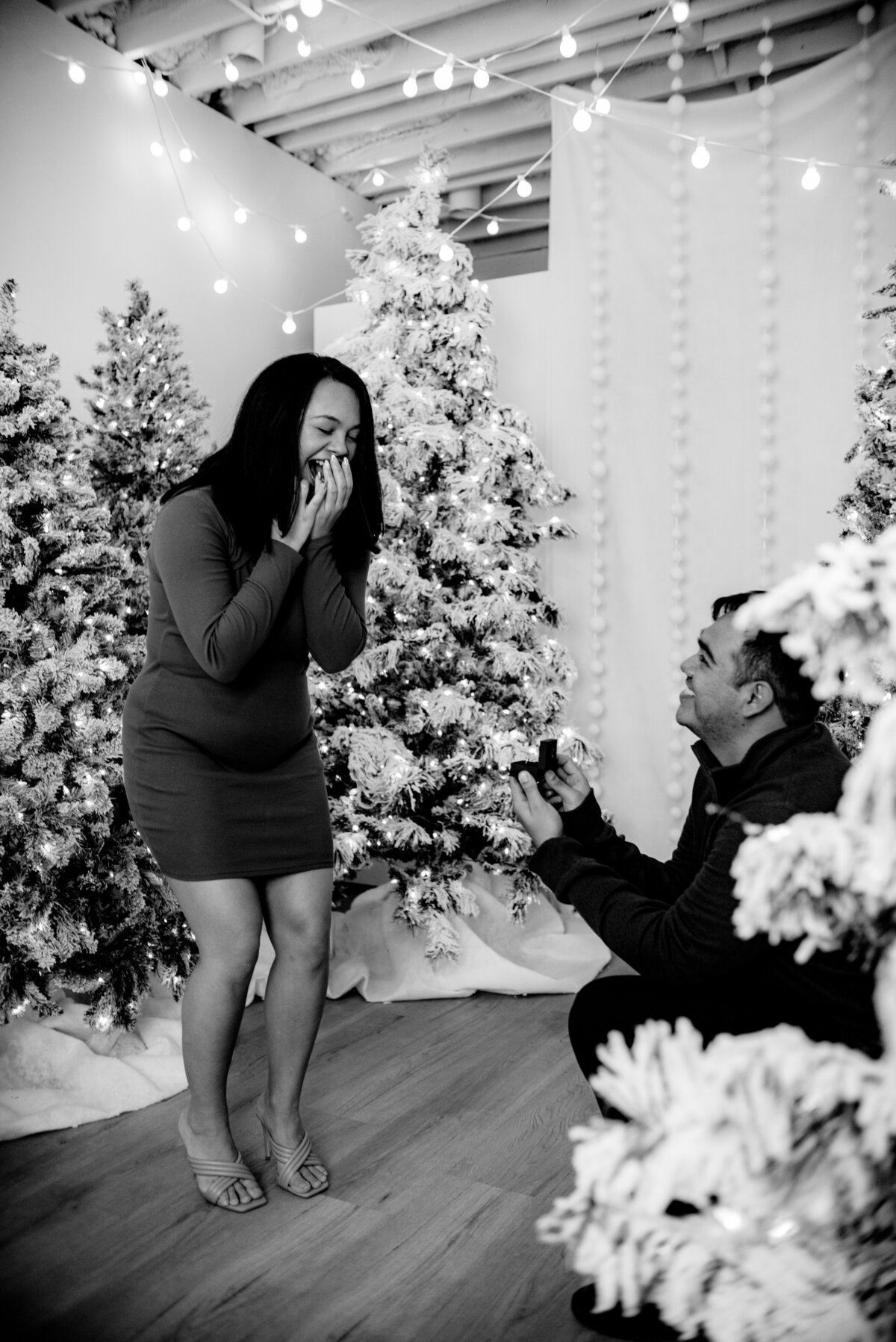 ColoradoSpringsEngagementProposal8