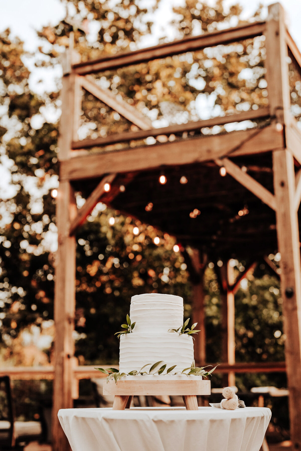 sevierville micro wedding-217