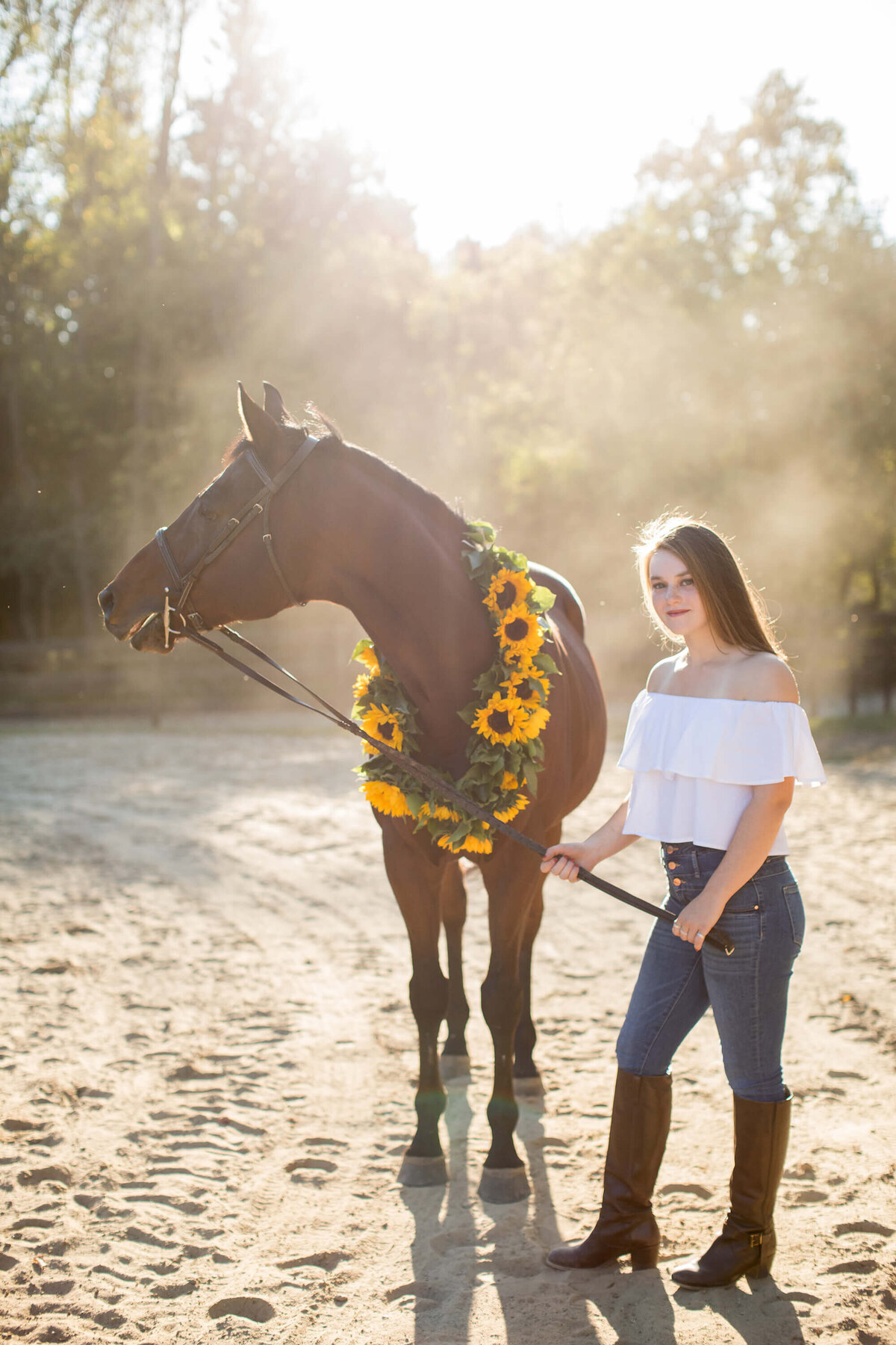 equestrian-horse-portraiture-photography-saratoga-ny