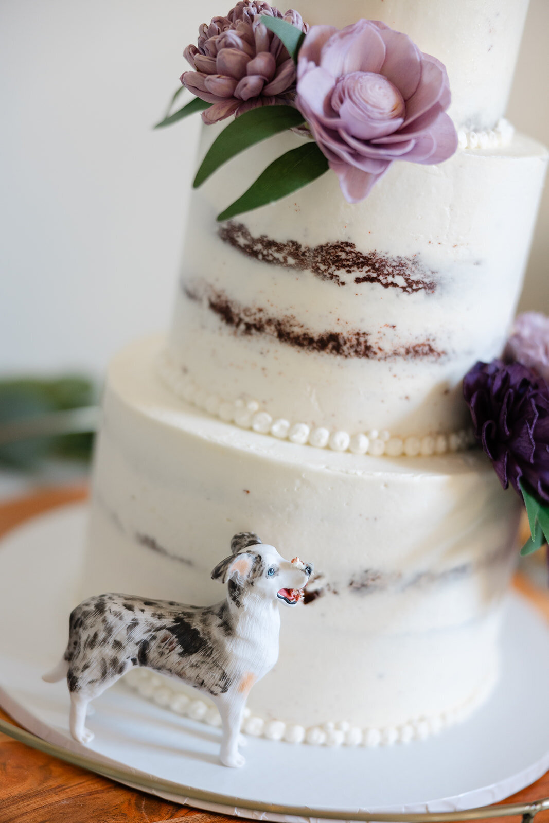 nickels-wedding-464