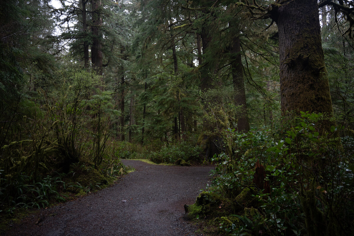 elopement oregon short sands beach - lizarrietaphotography-74