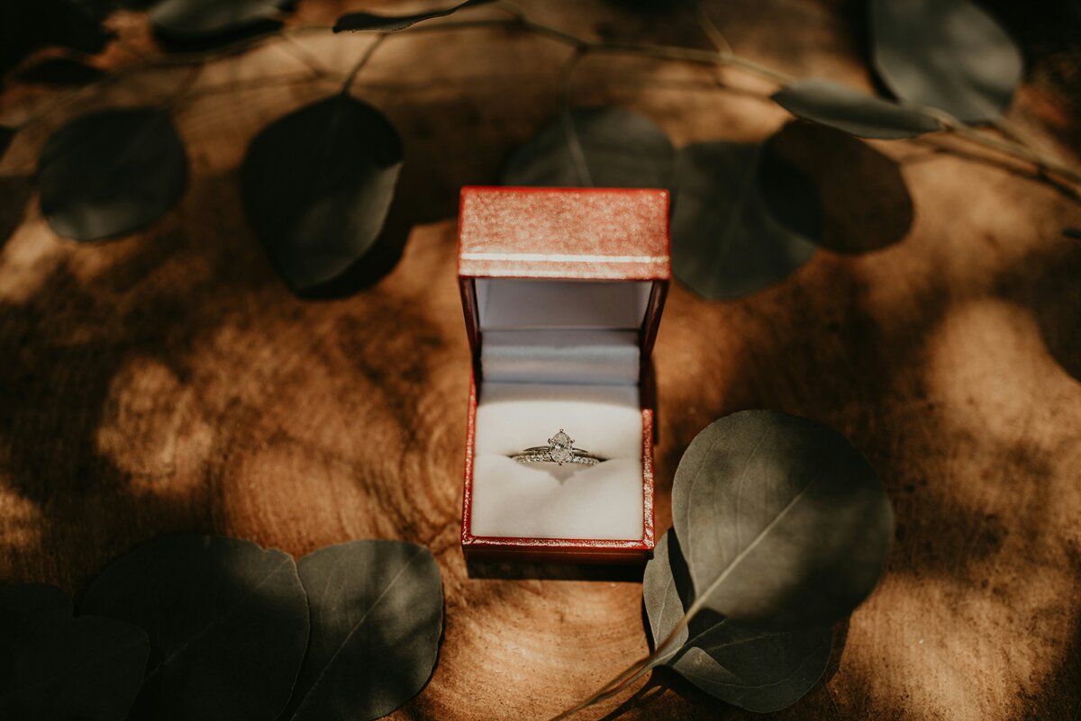 devon-divine-q9Gu5yGKHWg-unsplash