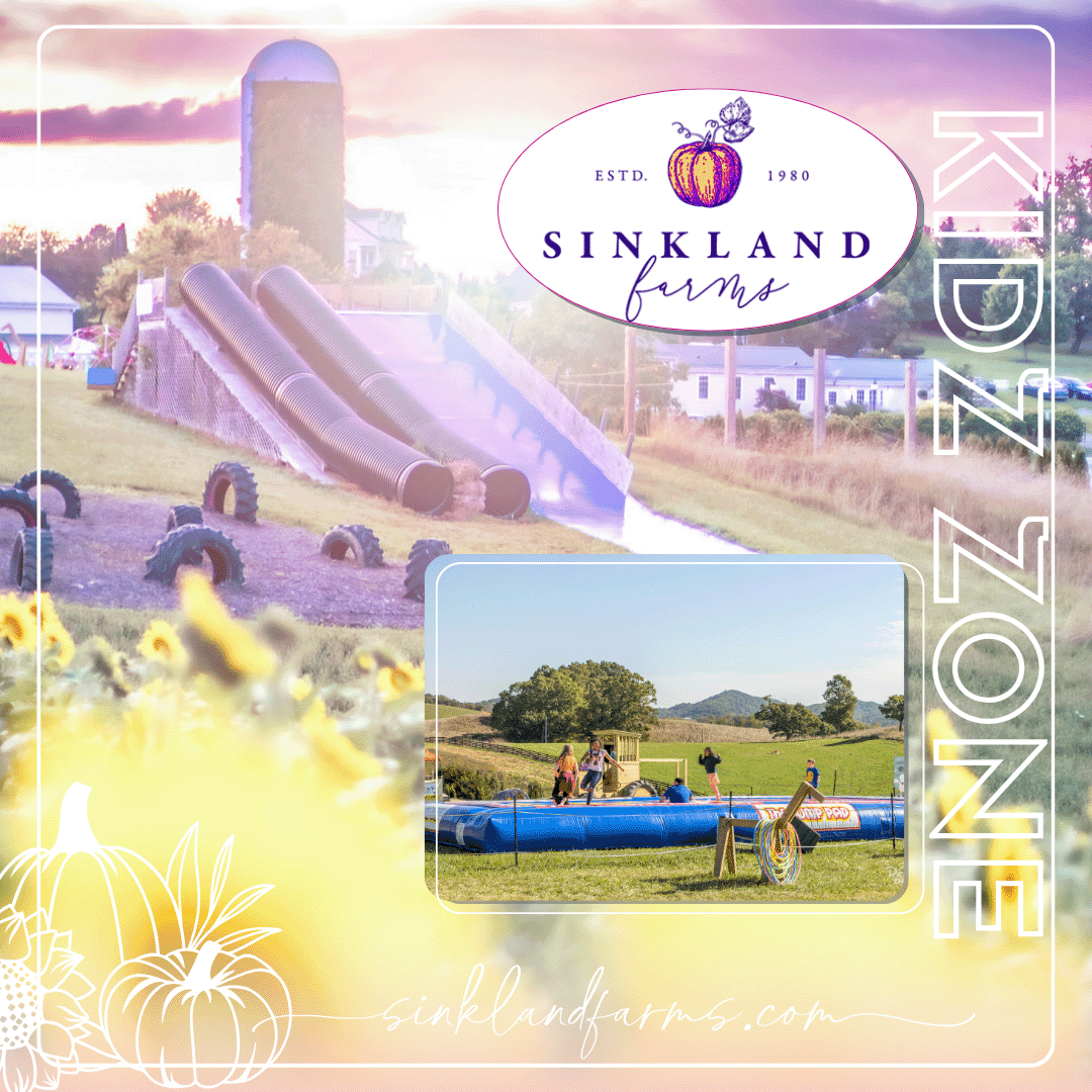 2024Sinkland-Farms_Pumpkin-Festival_Creative-Designs-by-Renee_Kids-Zone-Large-slides-silo