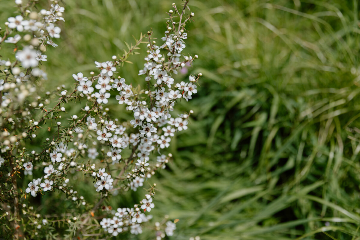 Forestry Fielday-0242