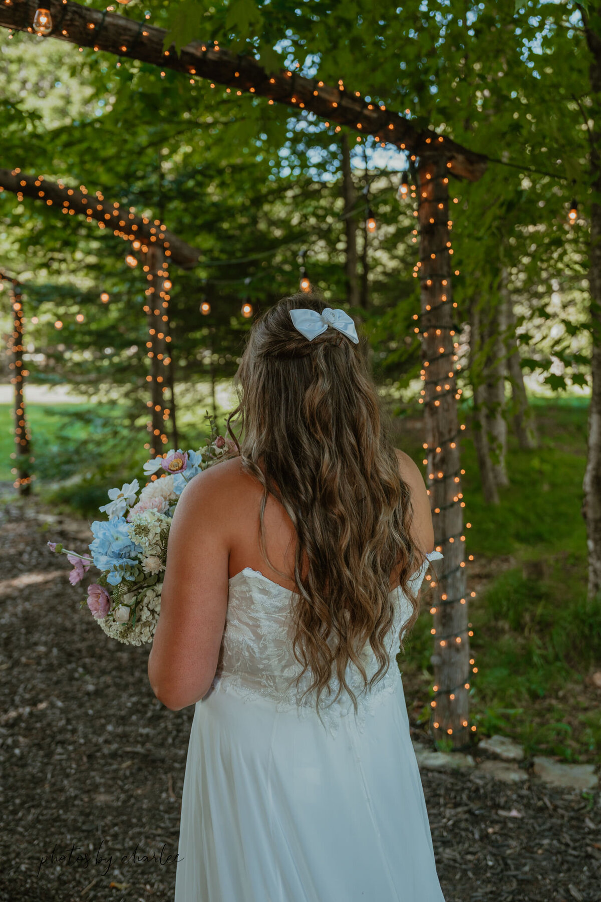 wedding venues upper peninsula-64