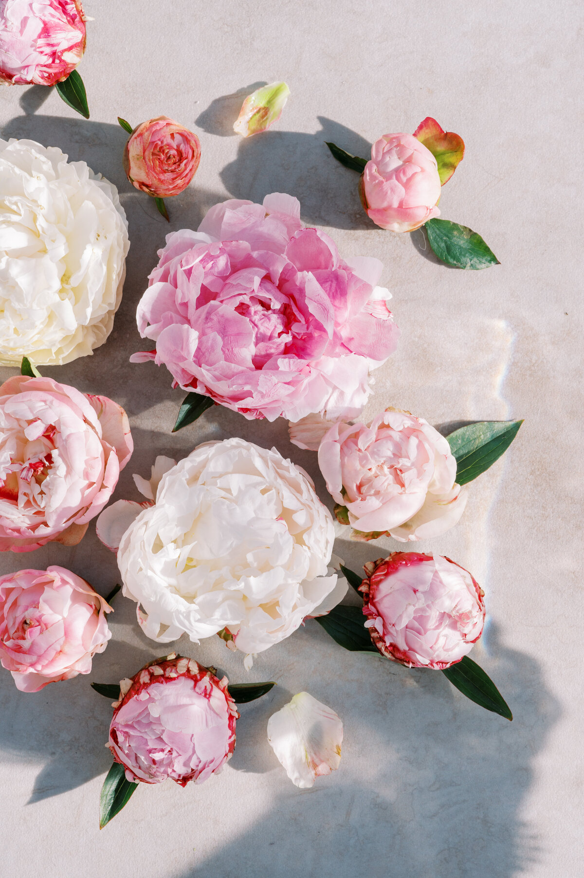 haleyrichterphoto-018