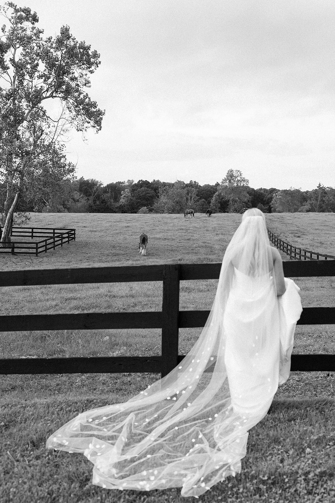 Elizabeth and Brian Wedding-1022