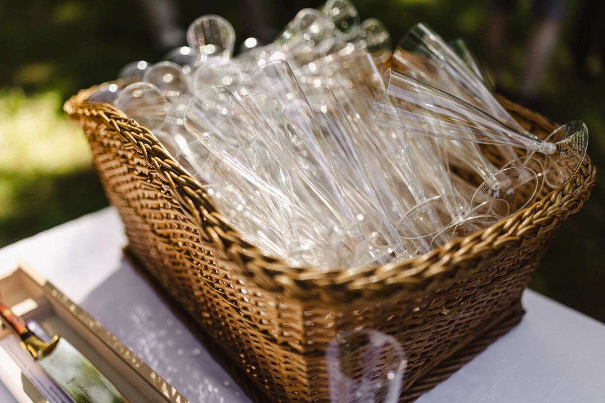 Nordic Destination Wedding Planner_79