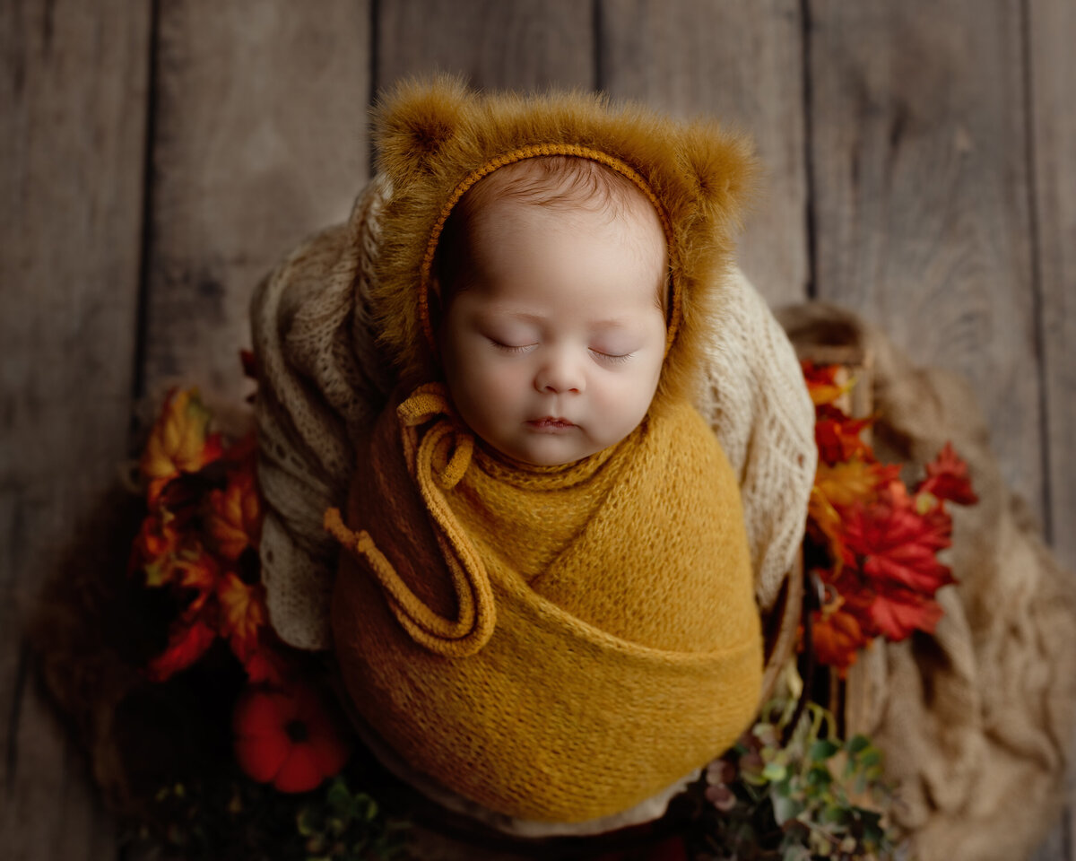 A newborn baby wrapped in a cozy mustard-colored outfit with a bear bonnet, peacefully sleeping in an autumn-inspired setting—captured in a timeless newborn photography session in Paris, Ontario.