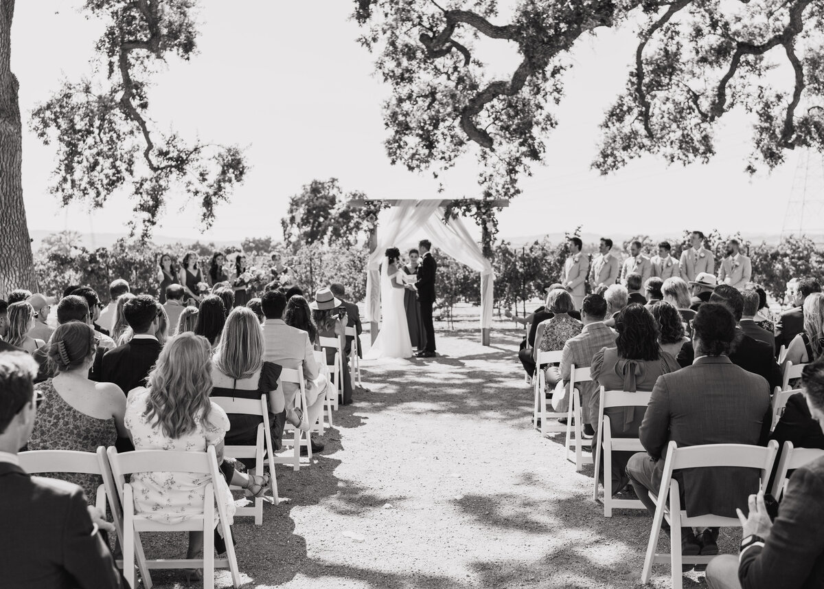 wedding ceremony in the vineyards