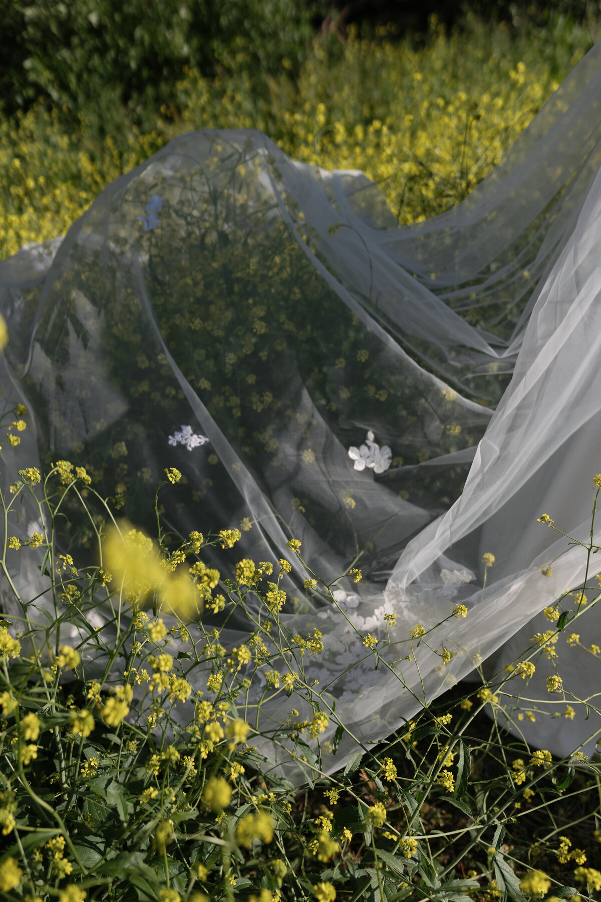 Natural-Light-Filled-Wedding