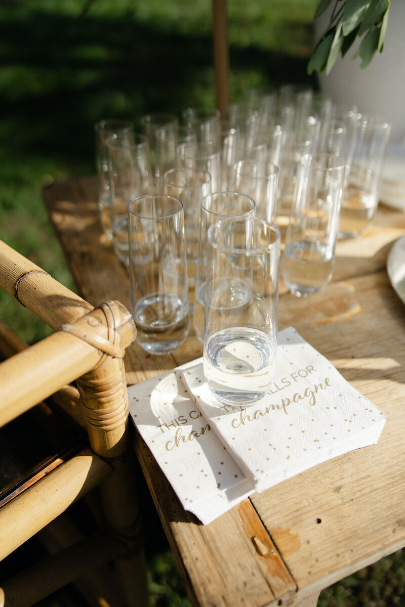 finer-points-coastal-Melrose-Farm-waterford-wedding00028