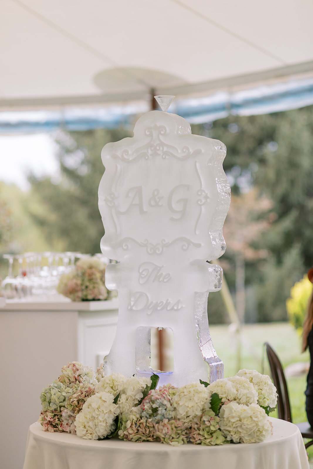 wedding-photos-french-park-60