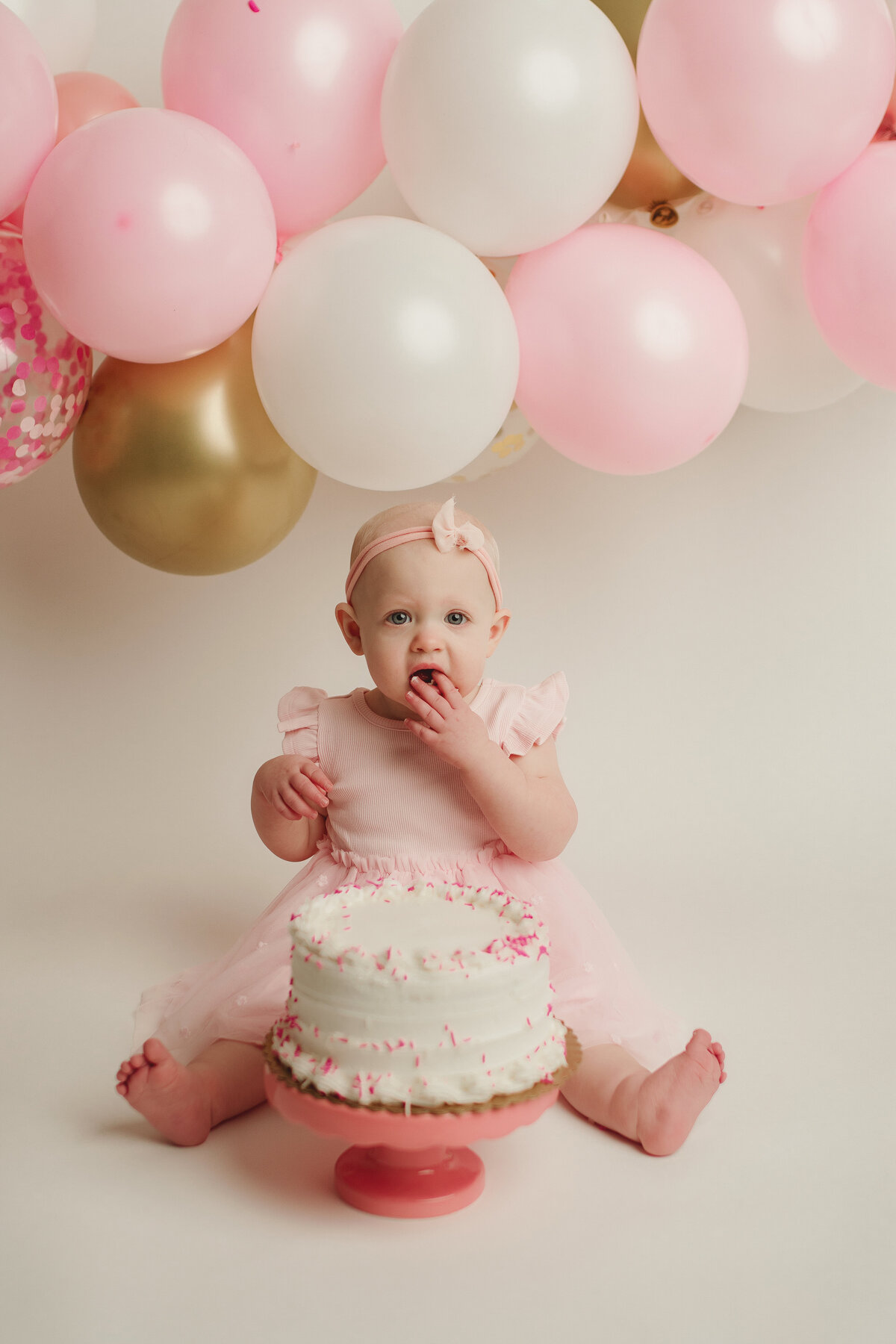 first birthday photography east aurora ny