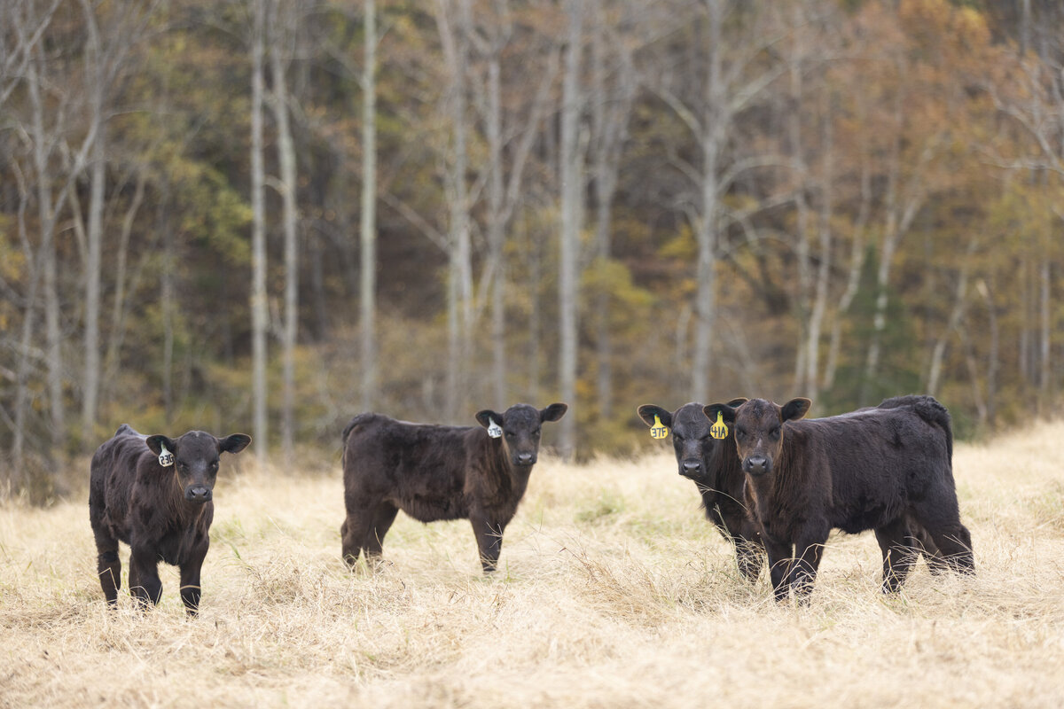 ChuckGrove_202210_WRW_5W5A5082_E