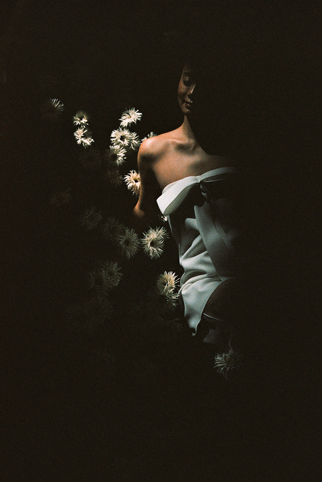 film-33