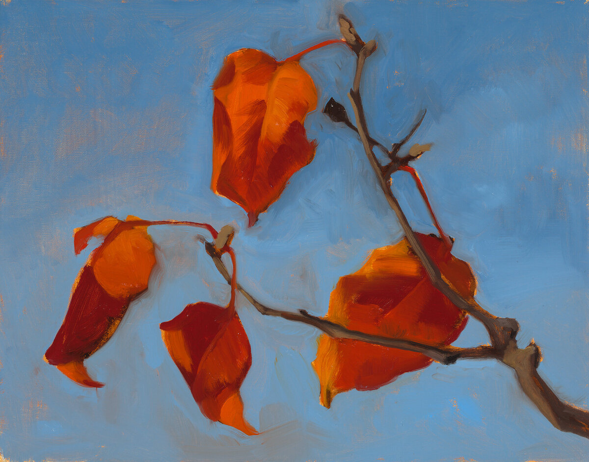 Clair gallery paintings | Orange Leaves_