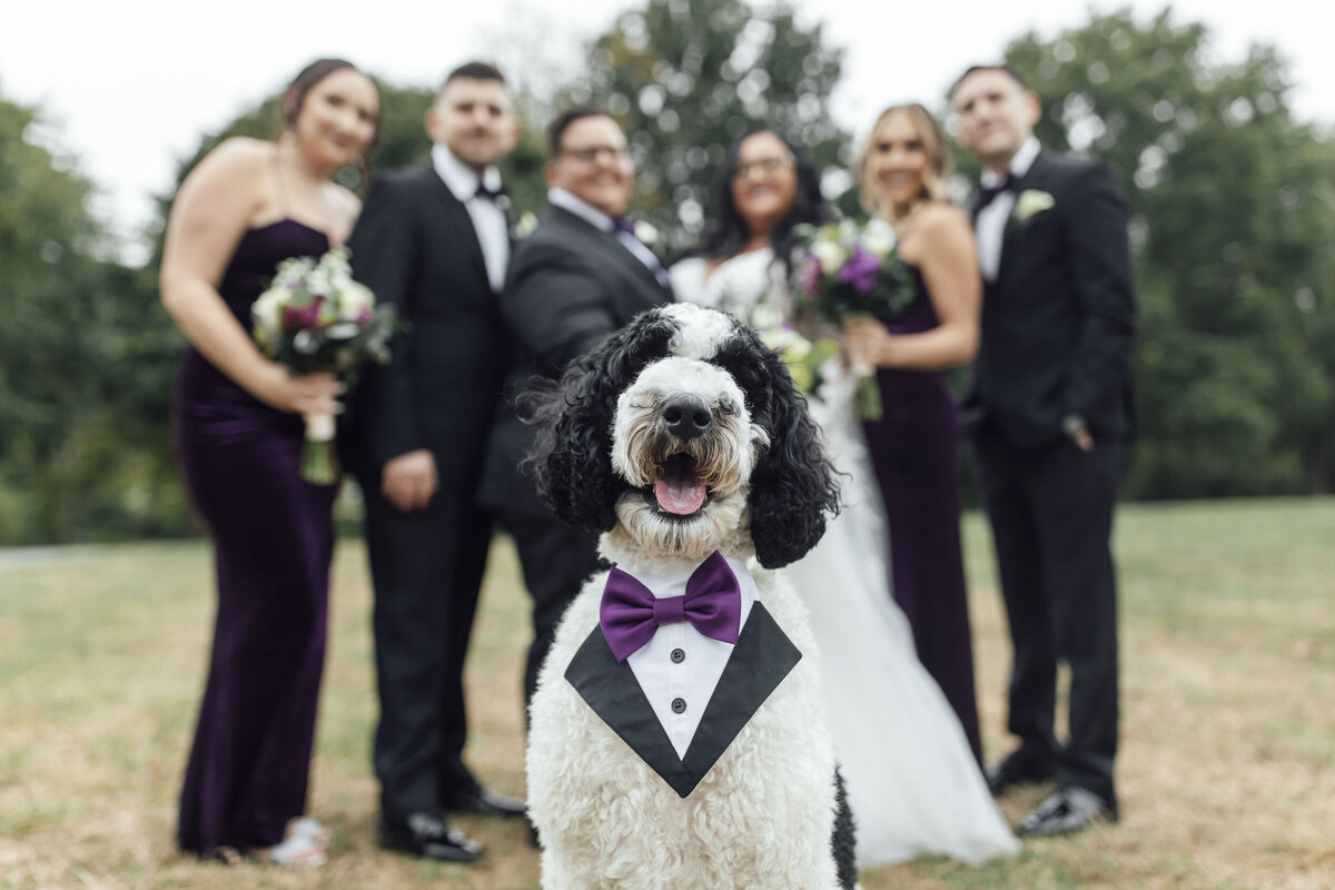 618 Restaurant Summer Wedding | Bride and Bridal Party with Poodle in Tuxedo | Freehold, New Jersey Photography
