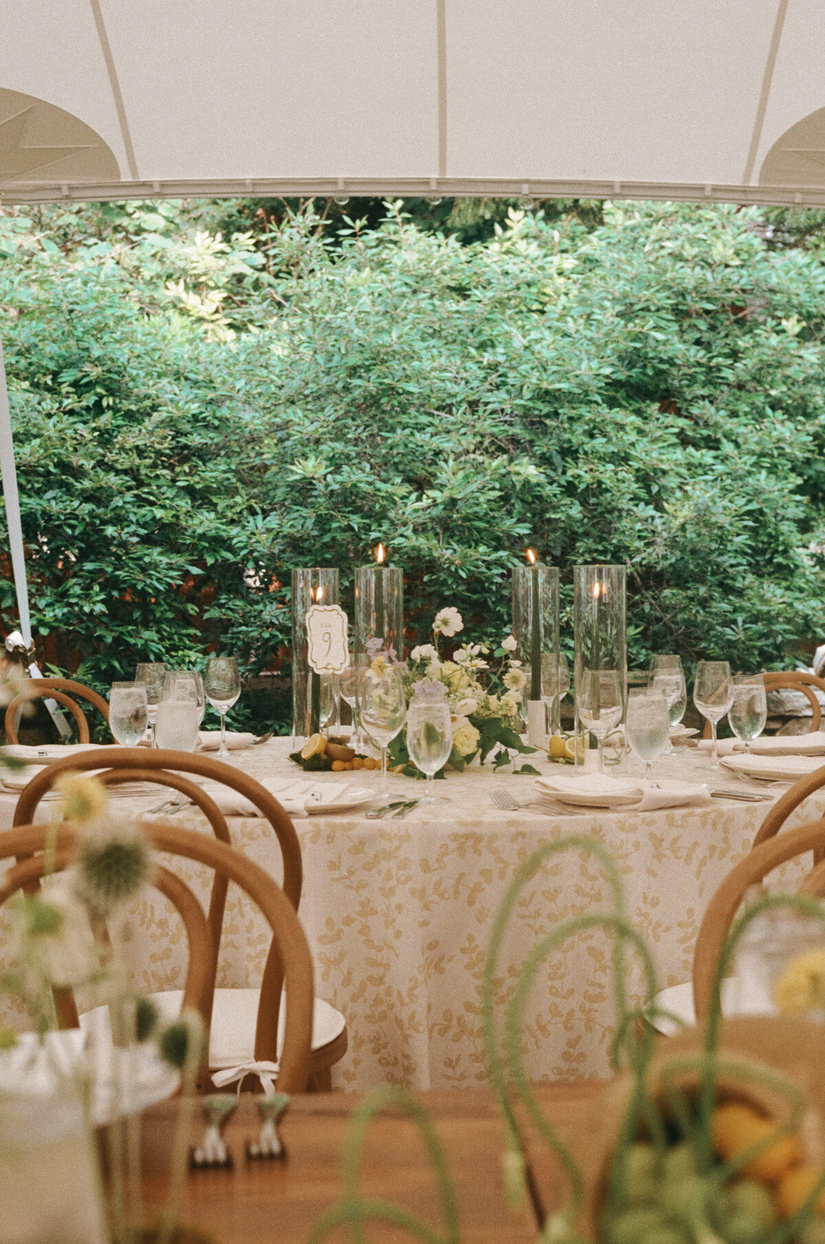 Elegant editorial wedding photography capturing sophisticated aesthetics at Lion Rock Farm destination venue. Lauren Alatriste's fashion photography background creates magazine-worthy imagery that transcends traditional wedding documentation.