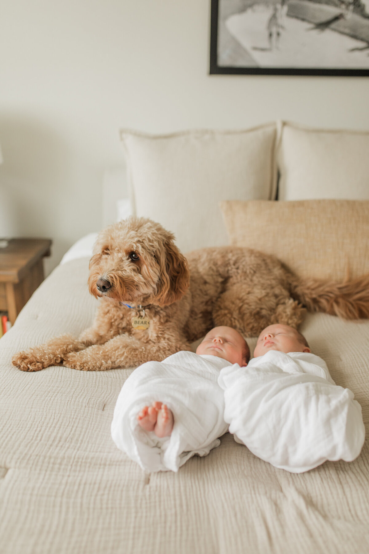 15 Lena Sophia Photography - Camas, WA Newborn Photographer